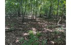 Property photo 72 - FARMLAND AUCTION - 124+/-ACRES OFFERED IN 9 TRACTS IN DEFIANCE COUNTY, OHIO
