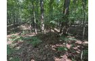 Property photo 73 - FARMLAND AUCTION - 124+/-ACRES OFFERED IN 9 TRACTS IN DEFIANCE COUNTY, OHIO