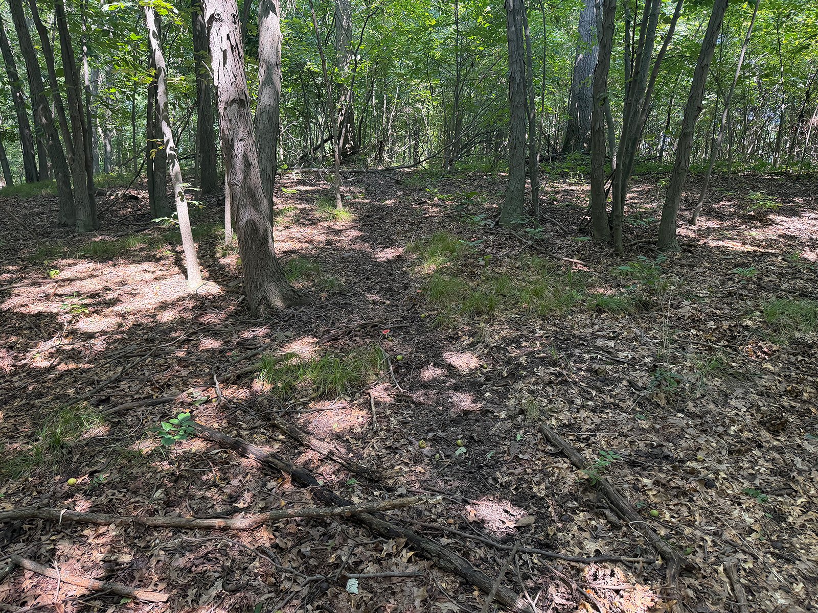 Property photo 74 - FARMLAND AUCTION - 124+/-ACRES OFFERED IN 9 TRACTS IN DEFIANCE COUNTY, OHIO