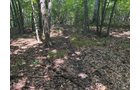 Property photo 74 - FARMLAND AUCTION - 124+/-ACRES OFFERED IN 9 TRACTS IN DEFIANCE COUNTY, OHIO