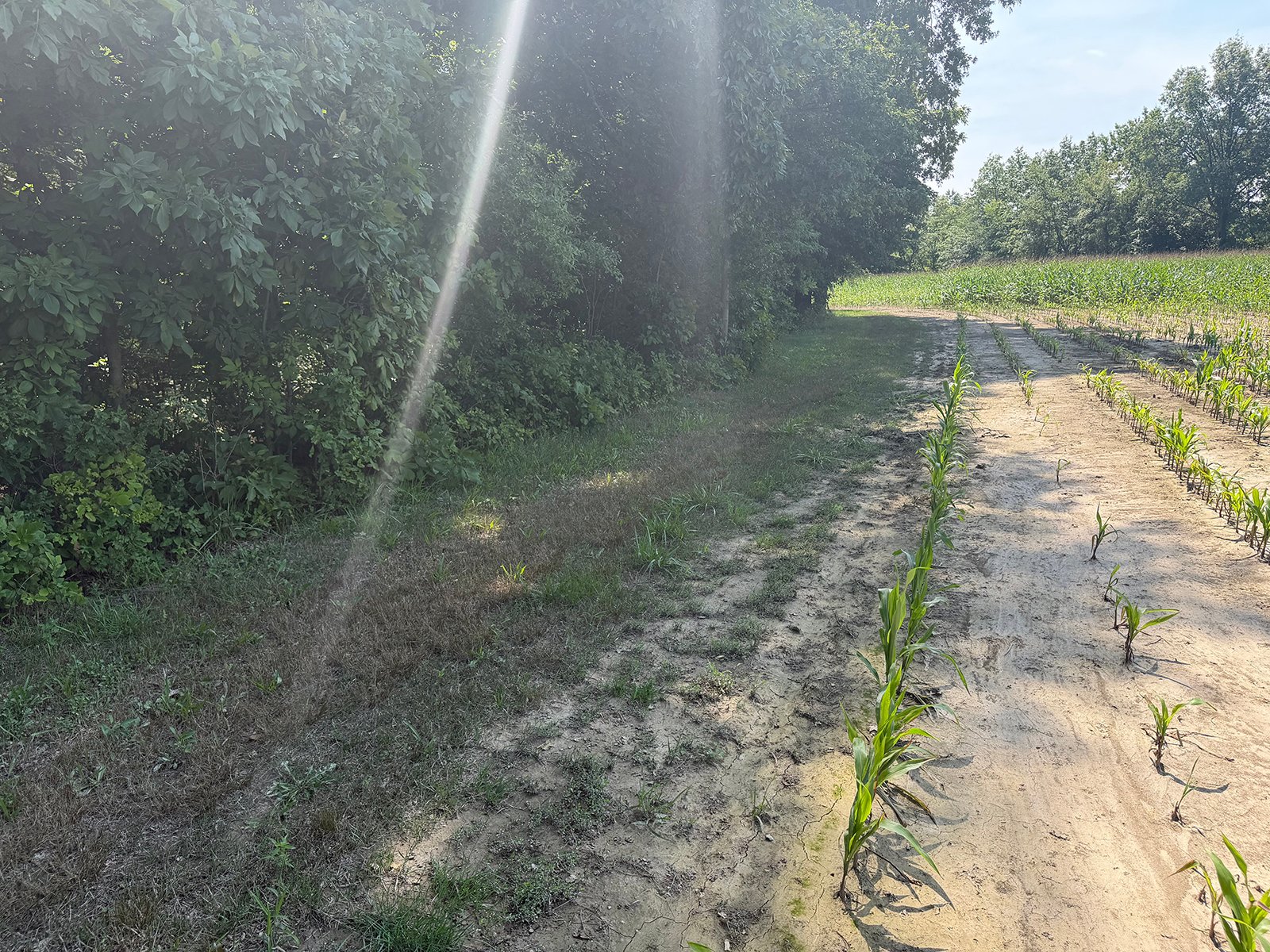 Property photo 47 - FARMLAND AUCTION - 124+/-ACRES OFFERED IN 9 TRACTS IN DEFIANCE COUNTY, OHIO