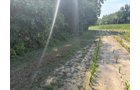 Property photo 47 - FARMLAND AUCTION - 124+/-ACRES OFFERED IN 9 TRACTS IN DEFIANCE COUNTY, OHIO