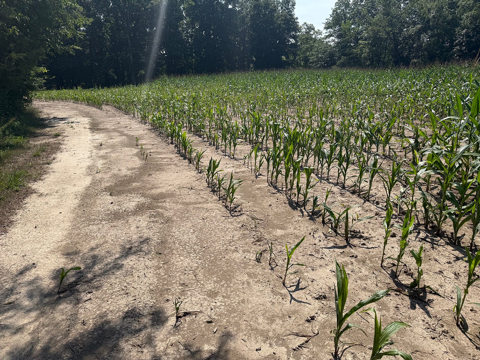 Property photo 48 - FARMLAND AUCTION - 124+/-ACRES OFFERED IN 9 TRACTS IN DEFIANCE COUNTY, OHIO