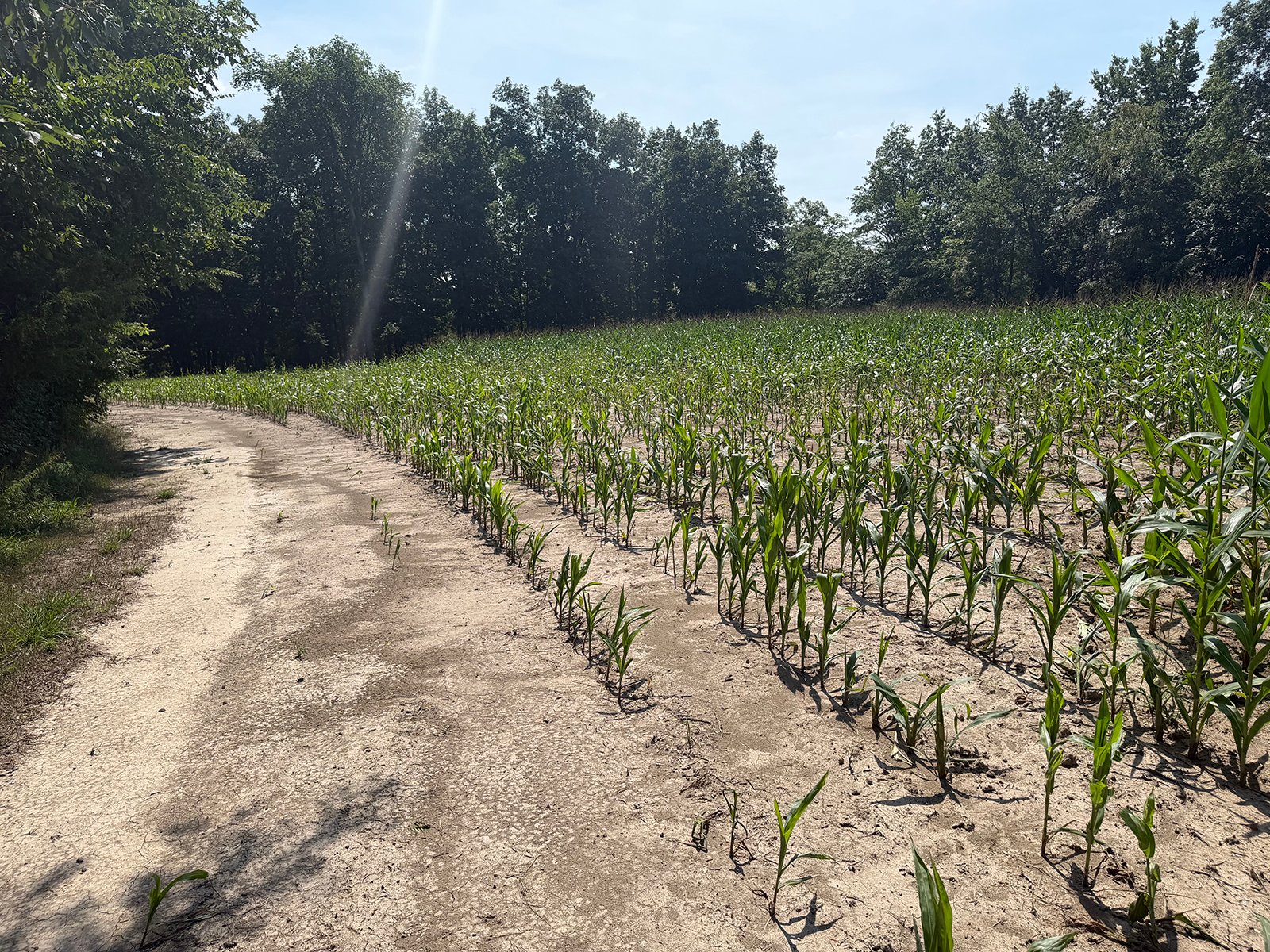 Property photo 49 - FARMLAND AUCTION - 124+/-ACRES OFFERED IN 9 TRACTS IN DEFIANCE COUNTY, OHIO