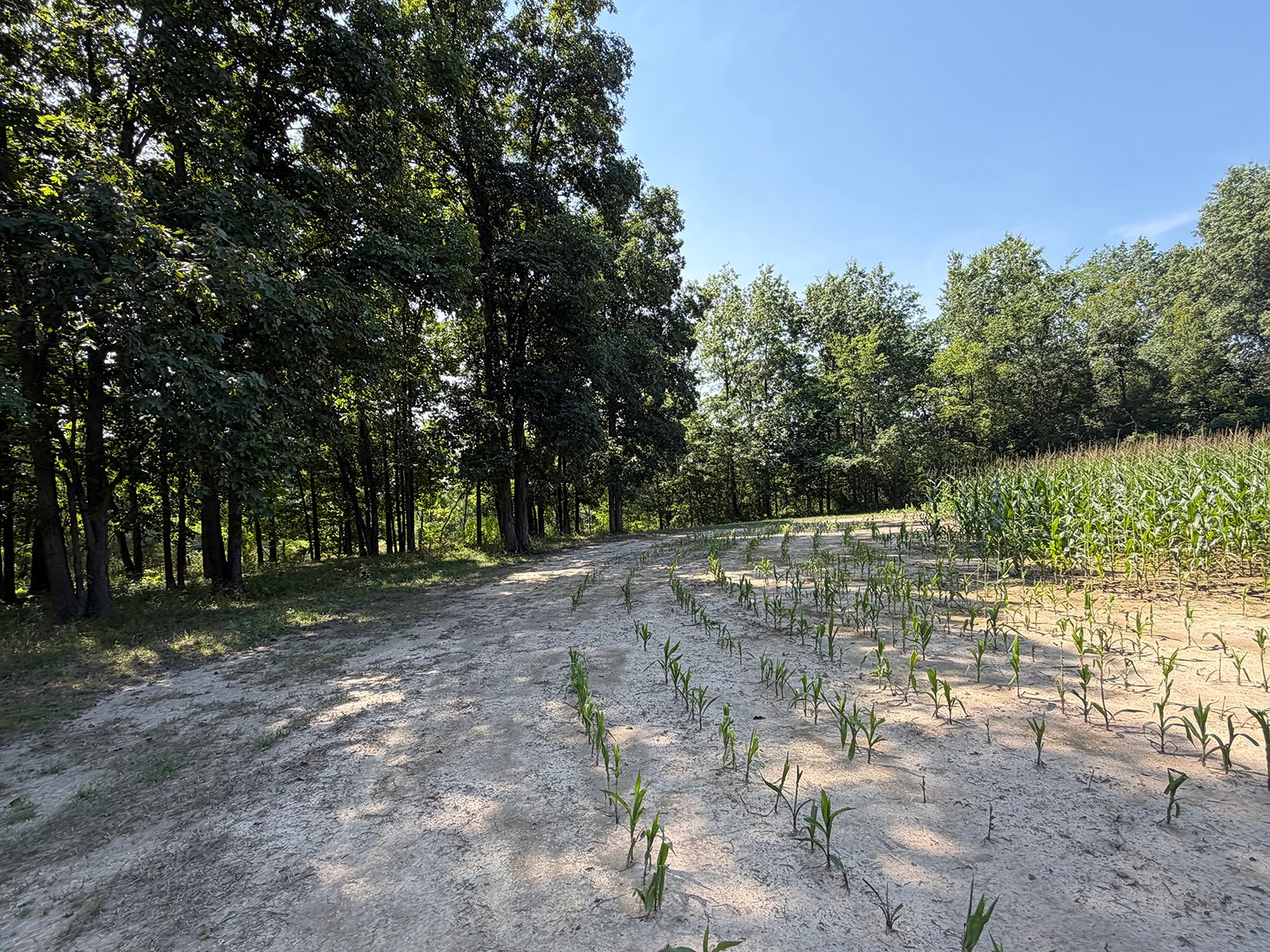 Property photo 53 - FARMLAND AUCTION - 124+/-ACRES OFFERED IN 9 TRACTS IN DEFIANCE COUNTY, OHIO