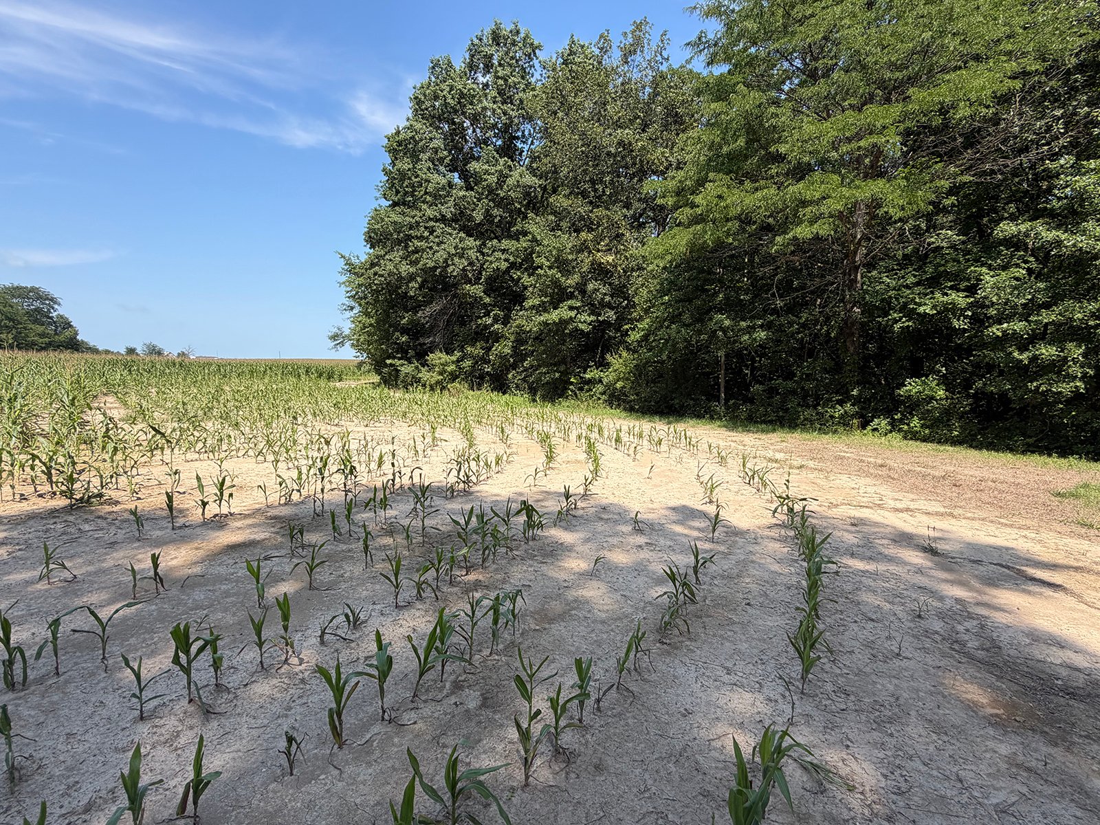 Property photo 52 - FARMLAND AUCTION - 124+/-ACRES OFFERED IN 9 TRACTS IN DEFIANCE COUNTY, OHIO