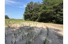 Property photo 52 - FARMLAND AUCTION - 124+/-ACRES OFFERED IN 9 TRACTS IN DEFIANCE COUNTY, OHIO