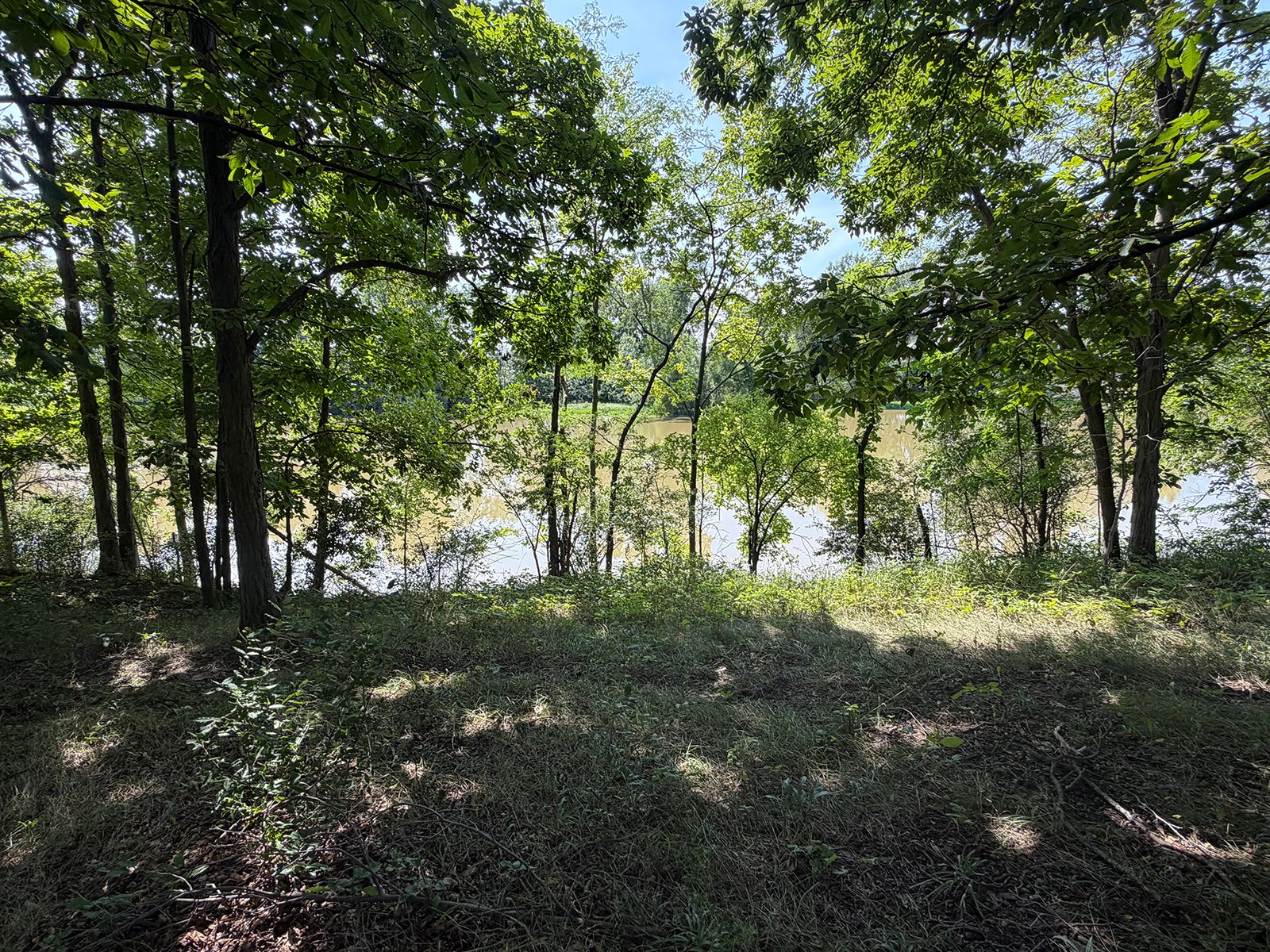 Property photo 58 - FARMLAND AUCTION - 124+/-ACRES OFFERED IN 9 TRACTS IN DEFIANCE COUNTY, OHIO