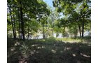 Property photo 58 - FARMLAND AUCTION - 124+/-ACRES OFFERED IN 9 TRACTS IN DEFIANCE COUNTY, OHIO