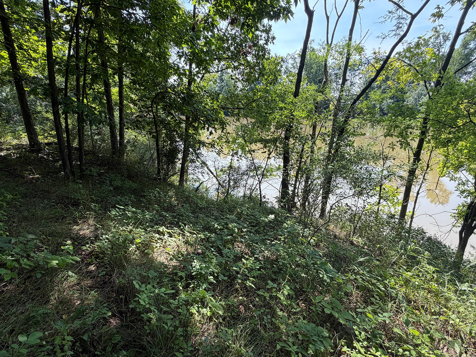 Property photo 62 - FARMLAND AUCTION - 124+/-ACRES OFFERED IN 9 TRACTS IN DEFIANCE COUNTY, OHIO