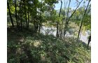 Property photo 62 - FARMLAND AUCTION - 124+/-ACRES OFFERED IN 9 TRACTS IN DEFIANCE COUNTY, OHIO