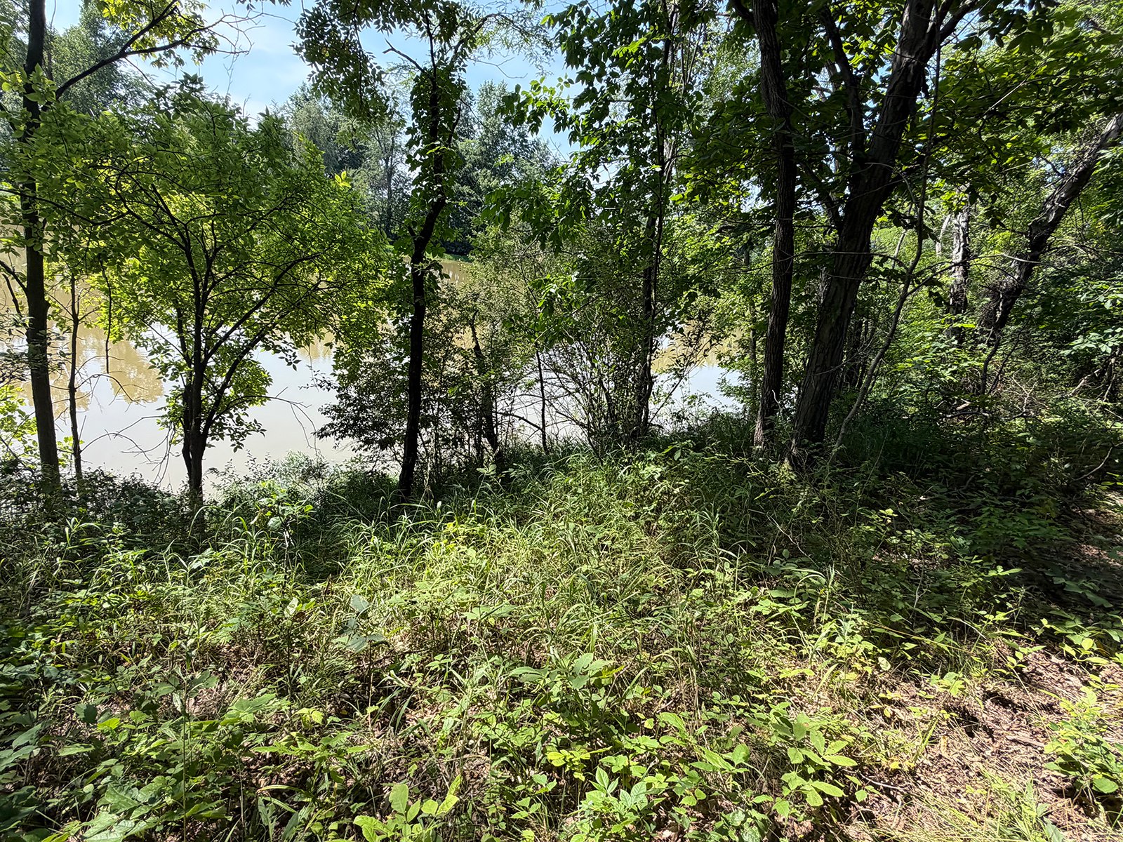 Property photo 63 - FARMLAND AUCTION - 124+/-ACRES OFFERED IN 9 TRACTS IN DEFIANCE COUNTY, OHIO