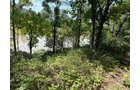Property photo 63 - FARMLAND AUCTION - 124+/-ACRES OFFERED IN 9 TRACTS IN DEFIANCE COUNTY, OHIO