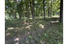 Property photo 75 - FARMLAND AUCTION - 124+/-ACRES OFFERED IN 9 TRACTS IN DEFIANCE COUNTY, OHIO