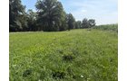 Property photo 32 - FARMLAND AUCTION - 124+/-ACRES OFFERED IN 9 TRACTS IN DEFIANCE COUNTY, OHIO