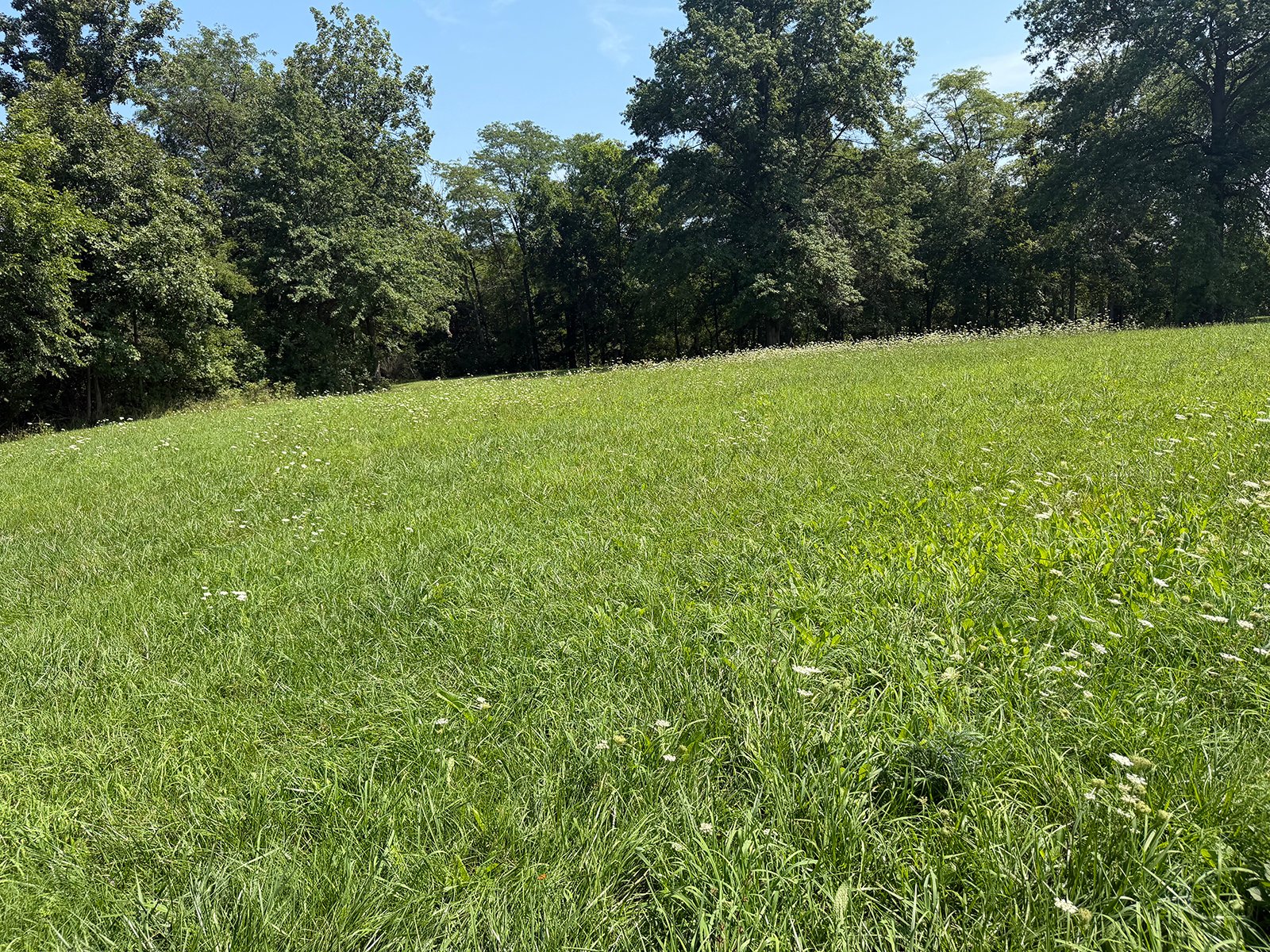 Property photo 31 - FARMLAND AUCTION - 124+/-ACRES OFFERED IN 9 TRACTS IN DEFIANCE COUNTY, OHIO