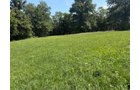 Property photo 31 - FARMLAND AUCTION - 124+/-ACRES OFFERED IN 9 TRACTS IN DEFIANCE COUNTY, OHIO