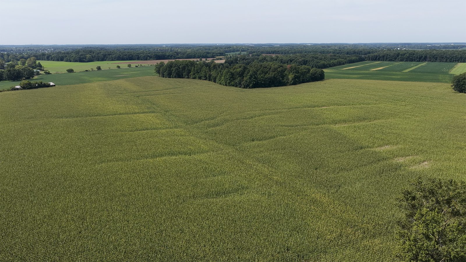 Property photo 7 - FARMLAND AUCTION - 124+/-ACRES OFFERED IN 9 TRACTS IN DEFIANCE COUNTY, OHIO