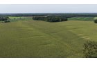 Property photo 7 - FARMLAND AUCTION - 124+/-ACRES OFFERED IN 9 TRACTS IN DEFIANCE COUNTY, OHIO