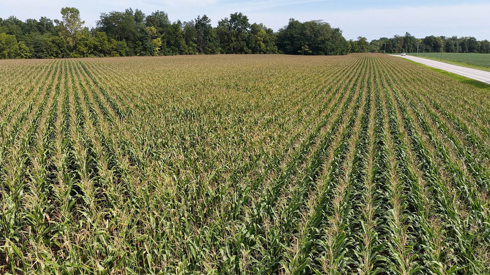 Property photo 11 - FARMLAND AUCTION - 124+/-ACRES OFFERED IN 9 TRACTS IN DEFIANCE COUNTY, OHIO
