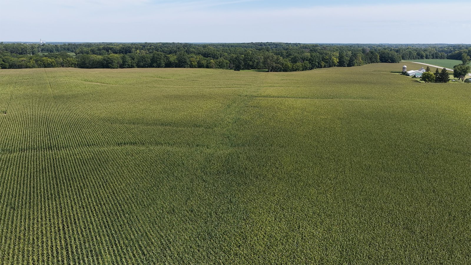 Property photo 14 - FARMLAND AUCTION - 124+/-ACRES OFFERED IN 9 TRACTS IN DEFIANCE COUNTY, OHIO