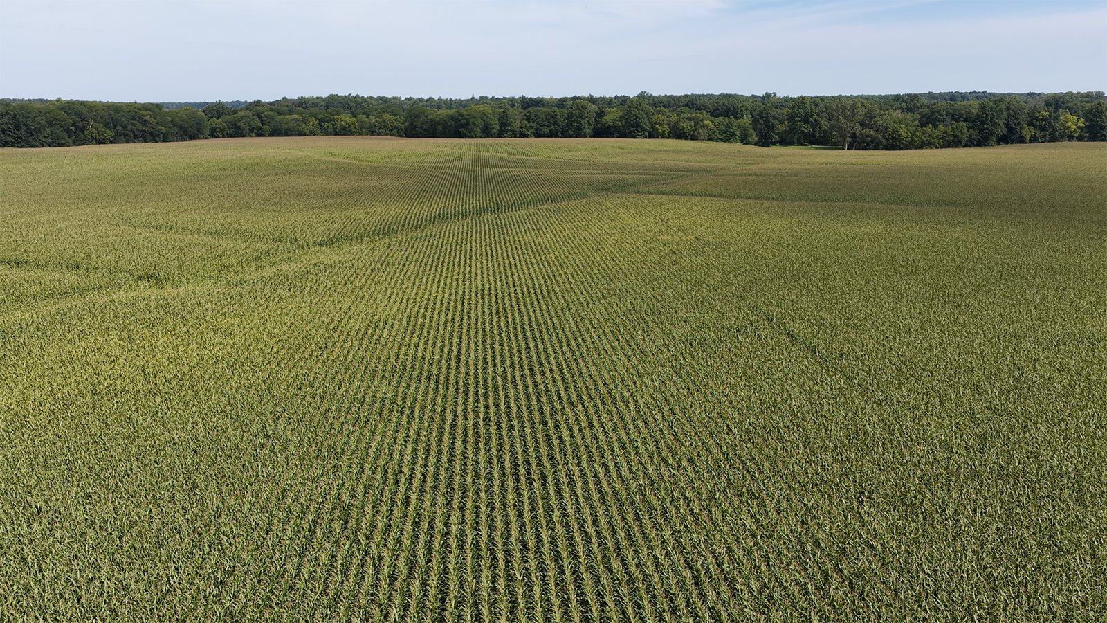 Property photo 13 - FARMLAND AUCTION - 124+/-ACRES OFFERED IN 9 TRACTS IN DEFIANCE COUNTY, OHIO