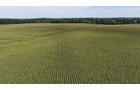 Property photo 13 - FARMLAND AUCTION - 124+/-ACRES OFFERED IN 9 TRACTS IN DEFIANCE COUNTY, OHIO