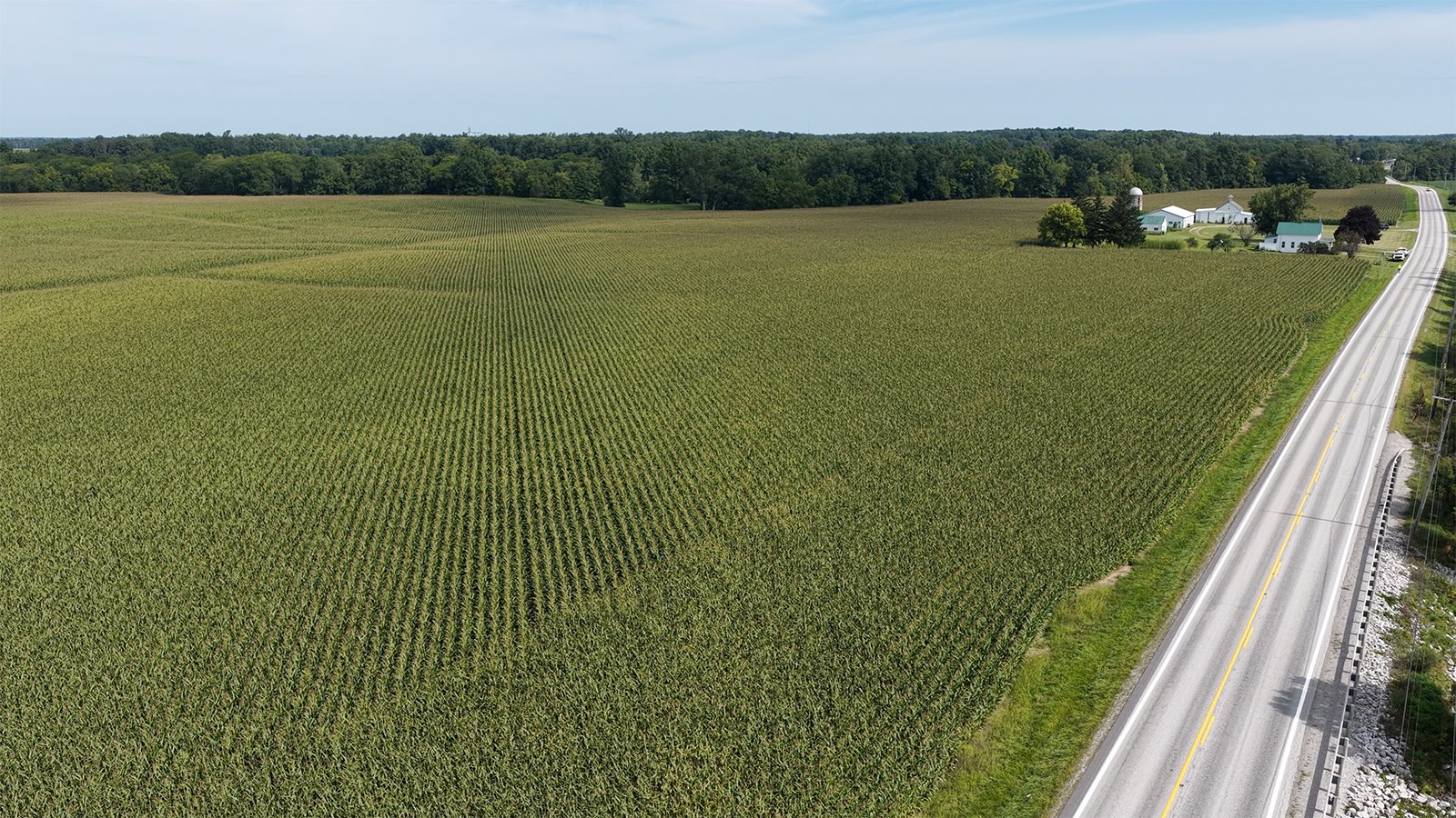 Property photo 15 - FARMLAND AUCTION - 124+/-ACRES OFFERED IN 9 TRACTS IN DEFIANCE COUNTY, OHIO