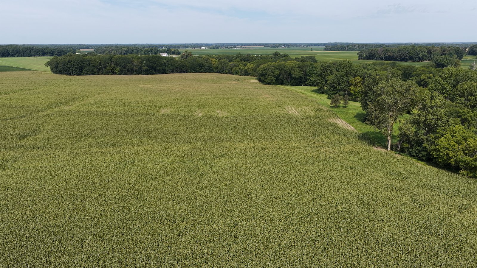 Property photo 16 - FARMLAND AUCTION - 124+/-ACRES OFFERED IN 9 TRACTS IN DEFIANCE COUNTY, OHIO