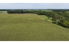Property photo 16 - FARMLAND AUCTION - 124+/-ACRES OFFERED IN 9 TRACTS IN DEFIANCE COUNTY, OHIO