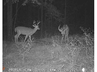 Property photo 55 - REAL ESTATE AUCTION - 40+/-ACRES OFFERED IN 3 TRACTS IN WILLIAMS COUNTY, OHIO
