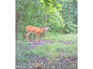 Property photo 56 - REAL ESTATE AUCTION - 40+/-ACRES OFFERED IN 3 TRACTS IN WILLIAMS COUNTY, OHIO