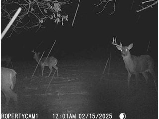 Property photo 57 - REAL ESTATE AUCTION - 40+/-ACRES OFFERED IN 3 TRACTS IN WILLIAMS COUNTY, OHIO