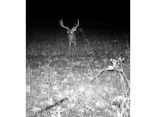 Property photo 58 - REAL ESTATE AUCTION - 40+/-ACRES OFFERED IN 3 TRACTS IN WILLIAMS COUNTY, OHIO