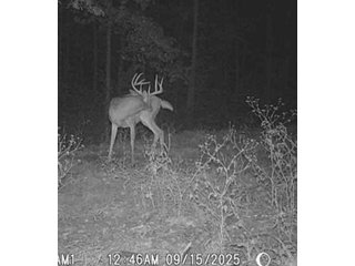 Property photo 59 - REAL ESTATE AUCTION - 40+/-ACRES OFFERED IN 3 TRACTS IN WILLIAMS COUNTY, OHIO