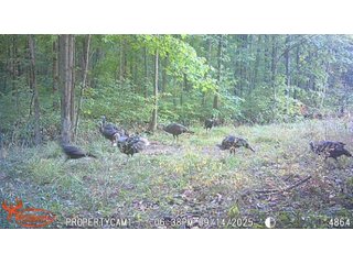 Property photo 60 - REAL ESTATE AUCTION - 40+/-ACRES OFFERED IN 3 TRACTS IN WILLIAMS COUNTY, OHIO