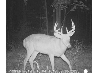 Property photo 61 - REAL ESTATE AUCTION - 40+/-ACRES OFFERED IN 3 TRACTS IN WILLIAMS COUNTY, OHIO