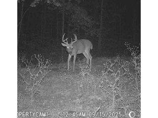 Property photo 54 - REAL ESTATE AUCTION - 40+/-ACRES OFFERED IN 3 TRACTS IN WILLIAMS COUNTY, OHIO