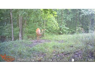 Property photo 41 - REAL ESTATE AUCTION - 40+/-ACRES OFFERED IN 3 TRACTS IN WILLIAMS COUNTY, OHIO
