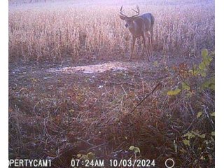 Property photo 47 - REAL ESTATE AUCTION - 40+/-ACRES OFFERED IN 3 TRACTS IN WILLIAMS COUNTY, OHIO