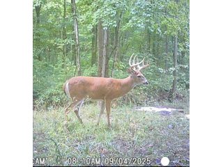 Property photo 45 - REAL ESTATE AUCTION - 40+/-ACRES OFFERED IN 3 TRACTS IN WILLIAMS COUNTY, OHIO