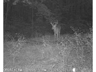 Property photo 42 - REAL ESTATE AUCTION - 40+/-ACRES OFFERED IN 3 TRACTS IN WILLIAMS COUNTY, OHIO