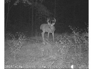 Property photo 49 - REAL ESTATE AUCTION - 40+/-ACRES OFFERED IN 3 TRACTS IN WILLIAMS COUNTY, OHIO