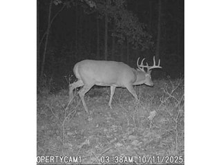 Property photo 50 - REAL ESTATE AUCTION - 40+/-ACRES OFFERED IN 3 TRACTS IN WILLIAMS COUNTY, OHIO