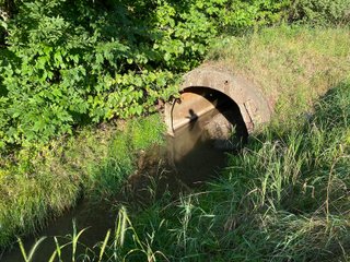 Property photo 20 - REAL ESTATE AUCTION - 40+/-ACRES OFFERED IN 3 TRACTS IN WILLIAMS COUNTY, OHIO
