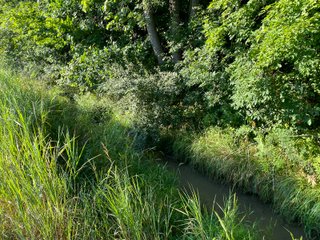 Property photo 22 - REAL ESTATE AUCTION - 40+/-ACRES OFFERED IN 3 TRACTS IN WILLIAMS COUNTY, OHIO