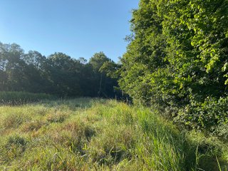 Property photo 23 - REAL ESTATE AUCTION - 40+/-ACRES OFFERED IN 3 TRACTS IN WILLIAMS COUNTY, OHIO
