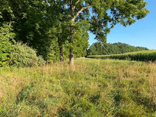 Property photo 24 - REAL ESTATE AUCTION - 40+/-ACRES OFFERED IN 3 TRACTS IN WILLIAMS COUNTY, OHIO