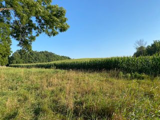 Property photo 27 - REAL ESTATE AUCTION - 40+/-ACRES OFFERED IN 3 TRACTS IN WILLIAMS COUNTY, OHIO