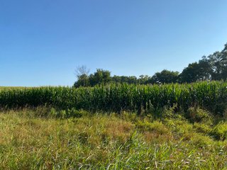 Property photo 28 - REAL ESTATE AUCTION - 40+/-ACRES OFFERED IN 3 TRACTS IN WILLIAMS COUNTY, OHIO